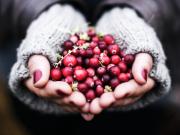 Dzērvene viennozīmīgi ir rudens karaliene!