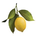 Citronu ēteriskā eļļa