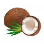 Kokosriekstu eļļa